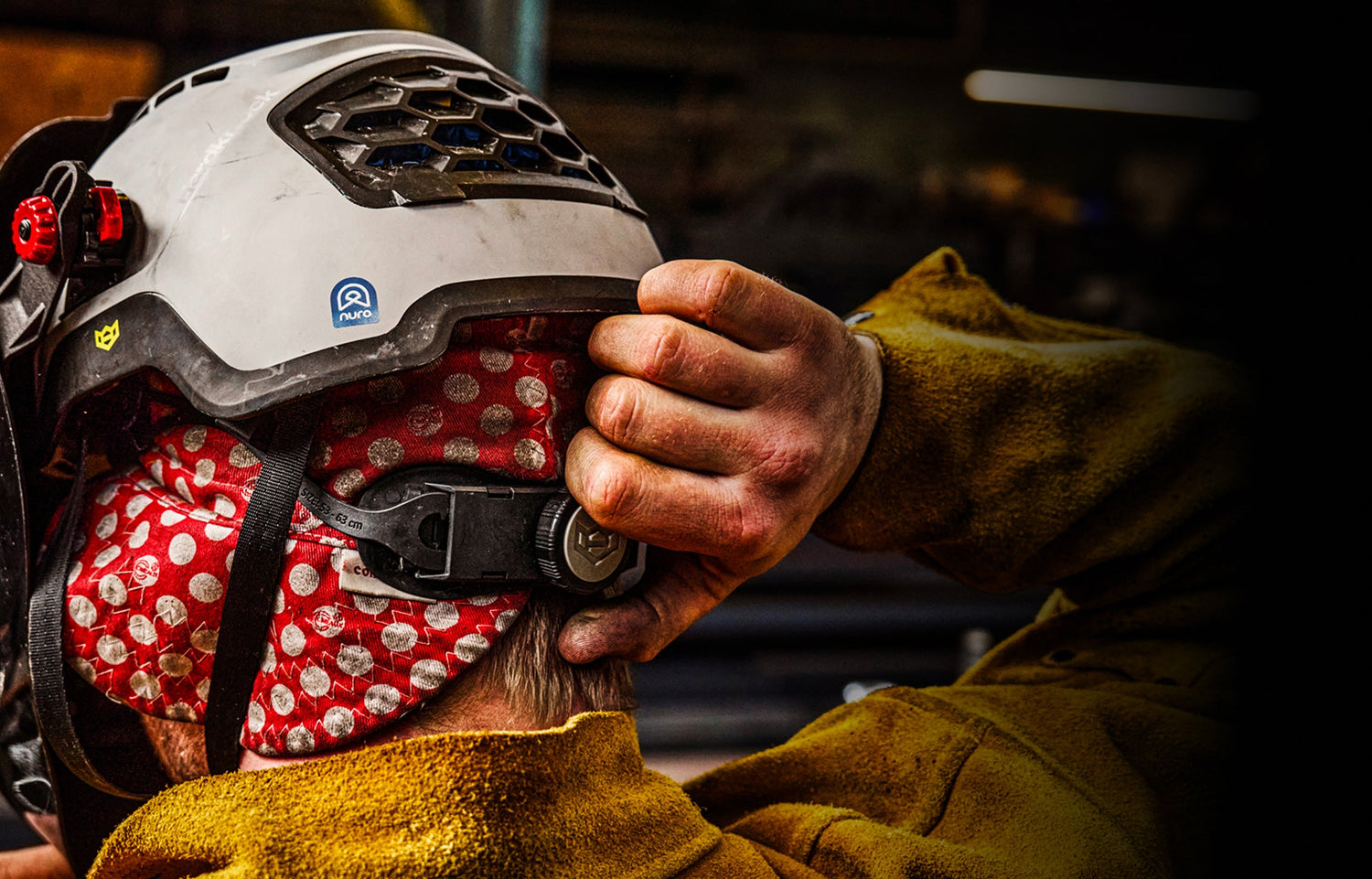 Home our promise crop